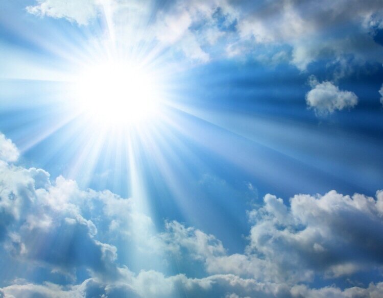    //фото с сайта specogna.it