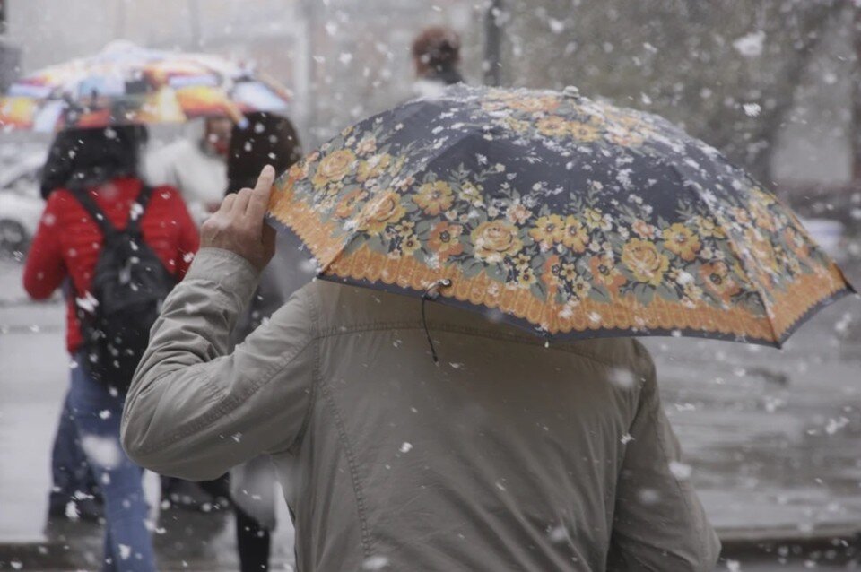     Погода 8 марта 2023 в Алтайском крае Олег УКЛАДОВ