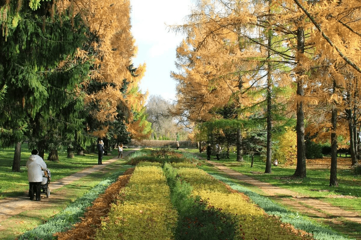 Ботанический сад Витебск