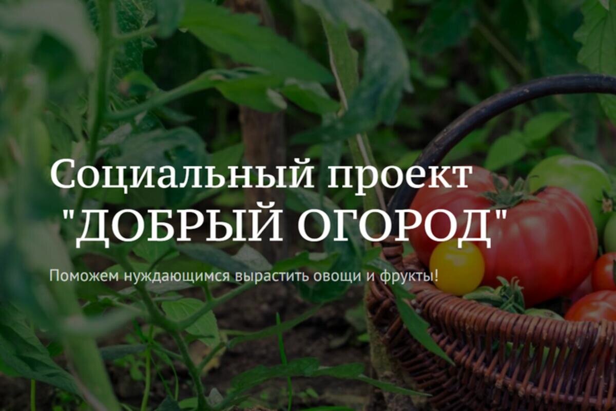     Югорчан приглашают принять участие во всероссийской акции «Добрый огород»