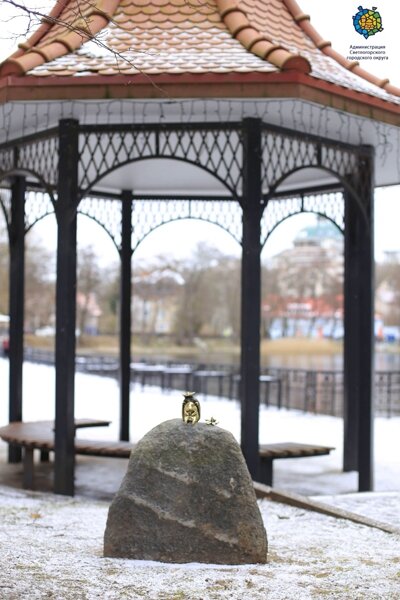 Фото: администрация Светлогорского городского округа