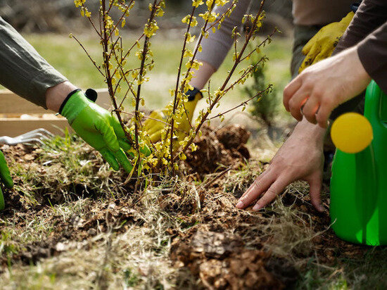     ФОТО С САЙТА FREEPIK.COM.