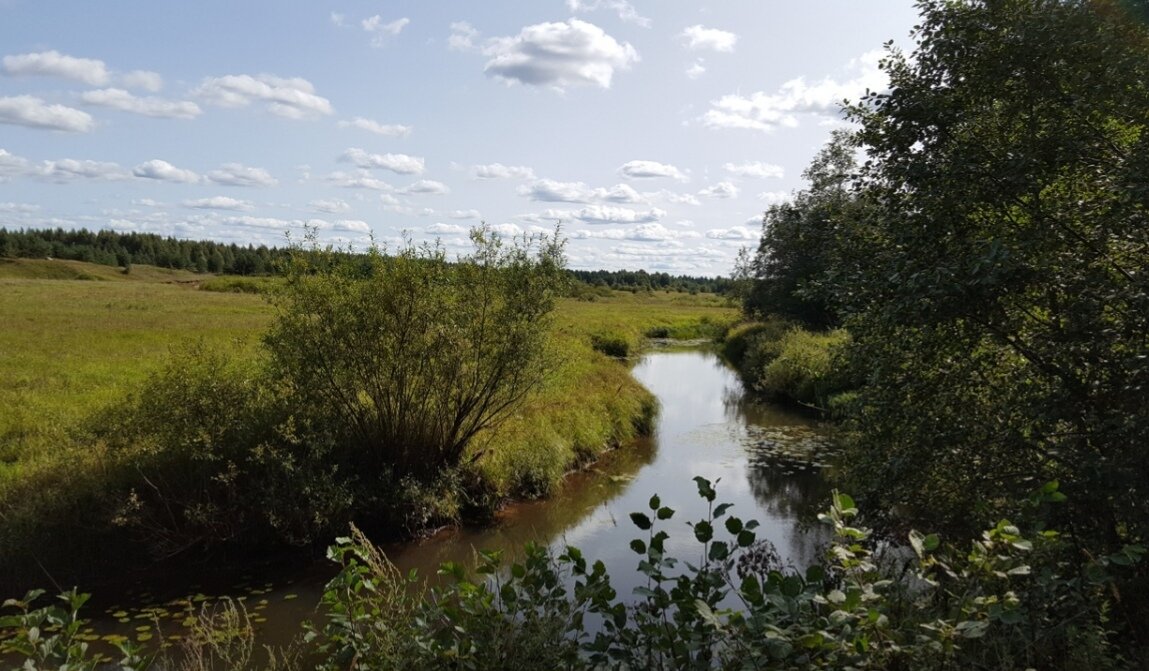 Тверская область. Спировский район. Село Козлово. Река Судомля. 