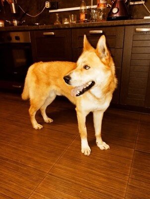 Фото: Петербургское метро