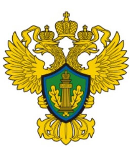    Фото: Росприроднадзор