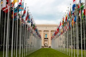    Фото: un.org Ирина Моргунова