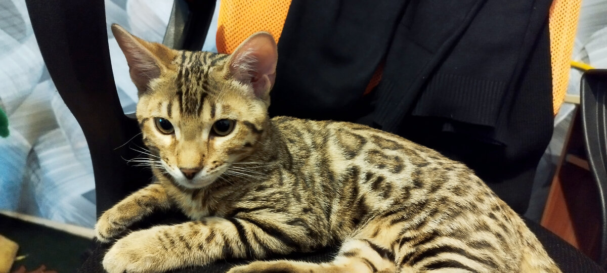 фото из личного архива