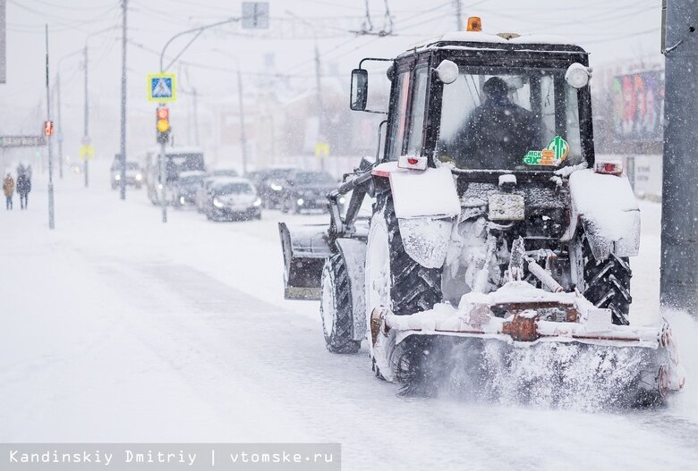    Фото: Дмитрий Кандинский / vtomske.ru