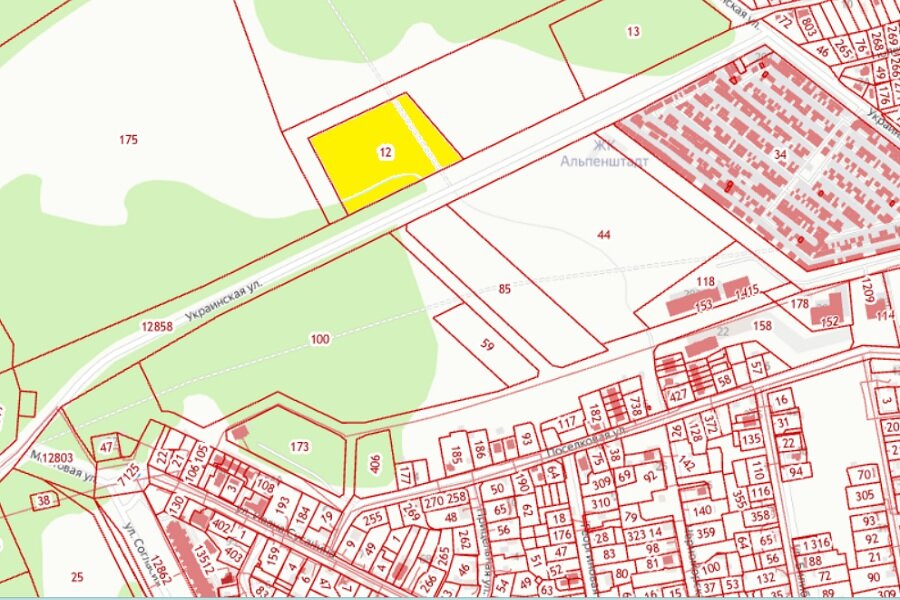 Рекультивируемый участок. Скриншот публичной кадастровой карты