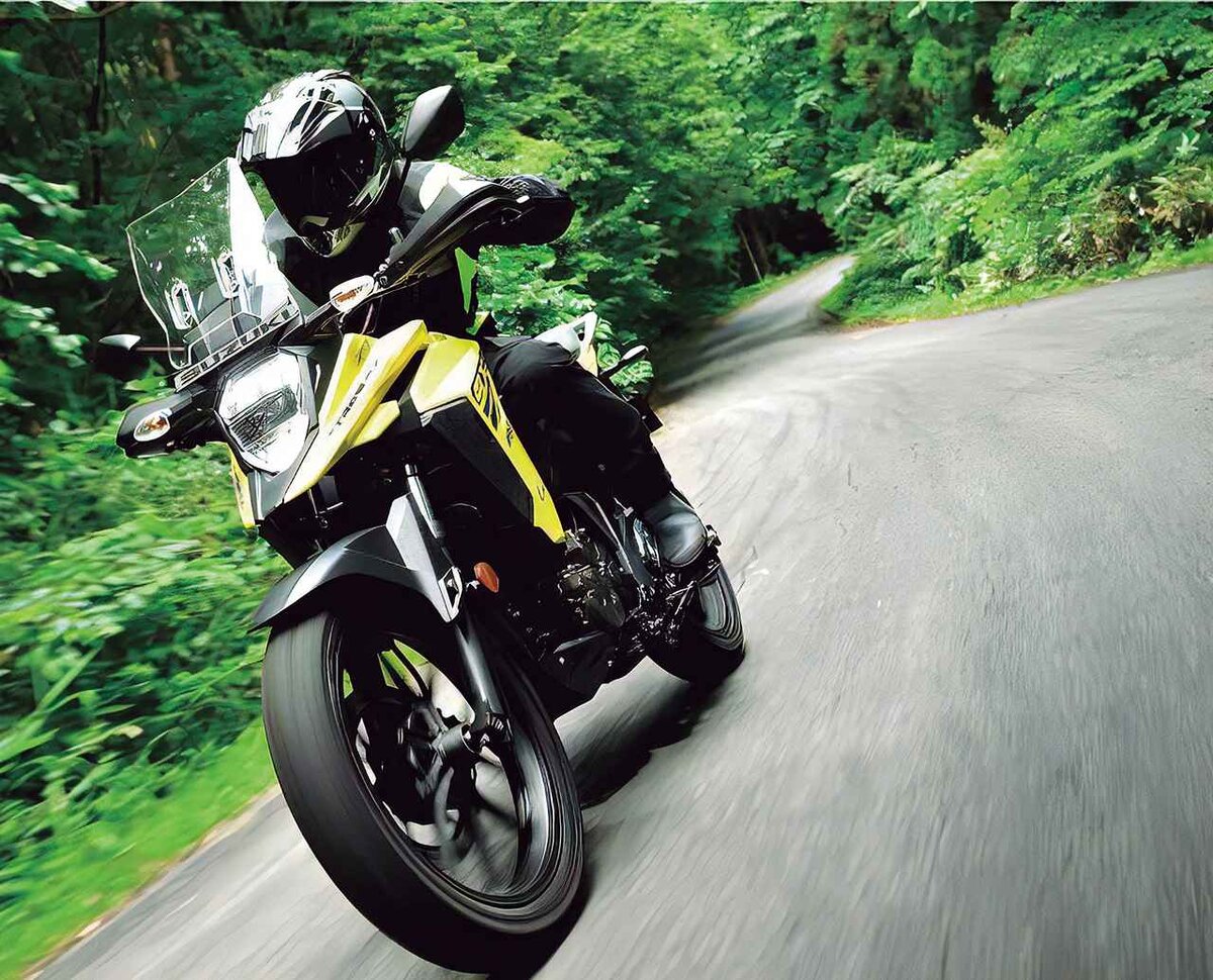 Suzuki v Strom 250