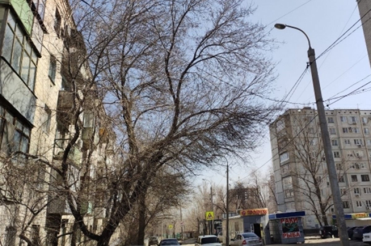    Стоит ли волгоградцам выбираться в выходные на дачу, рассказали синоптики