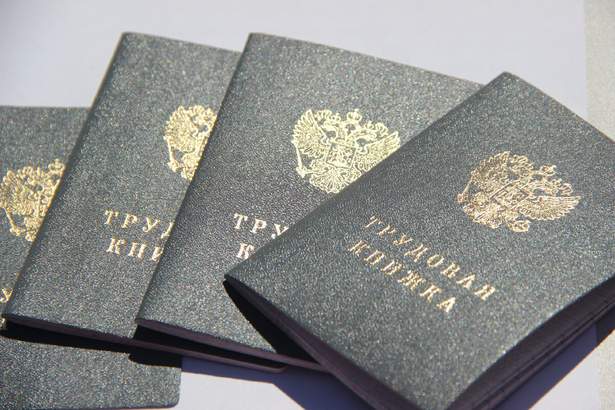 Выбор трудовых книжек