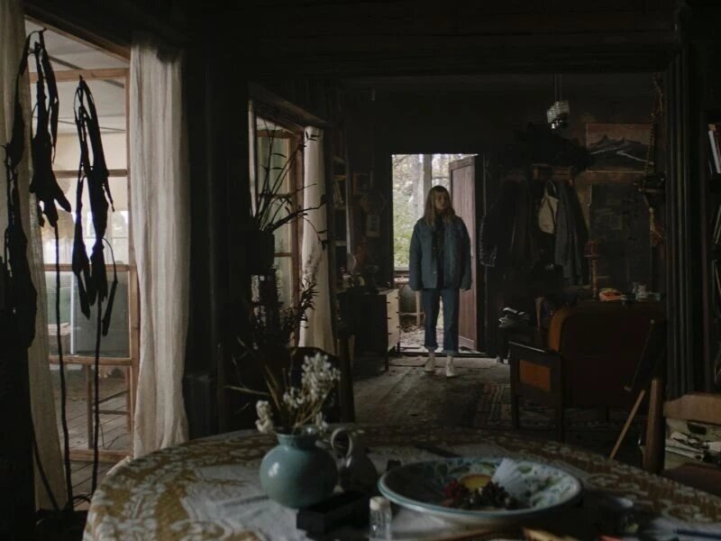 «Не стучи»: Деревьев бояться — в лес не ходить | Okko | Дзен