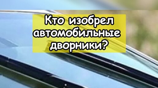 Pro авто дзен