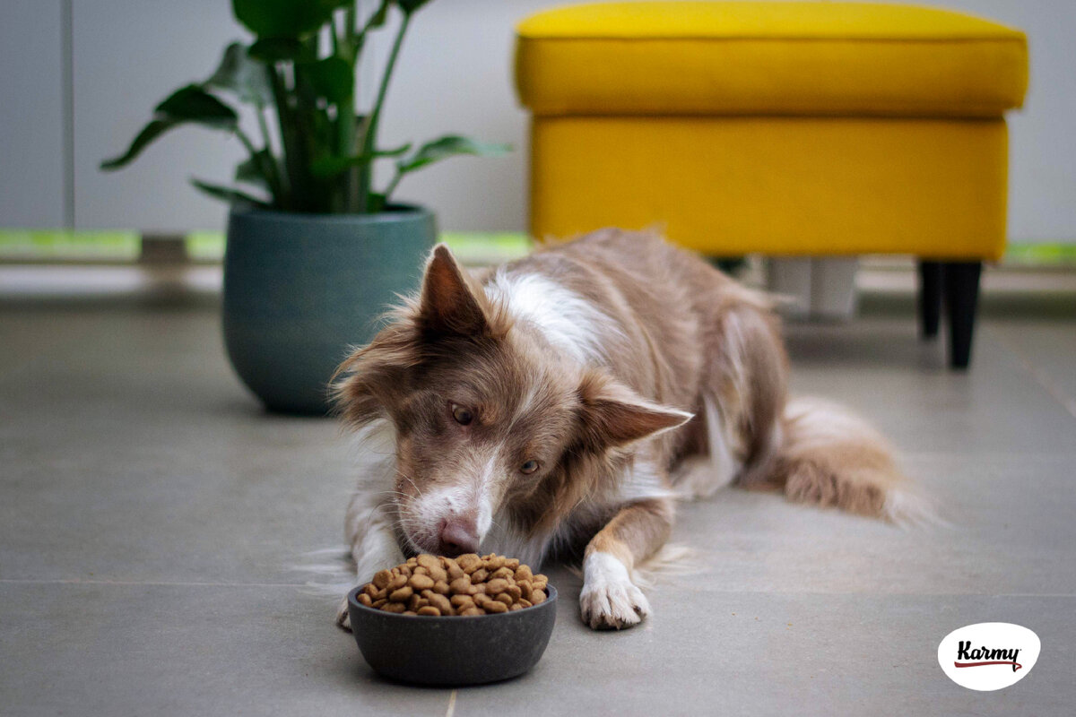 Авторское изображение с использованием картинки с фотостока "Unsplash"