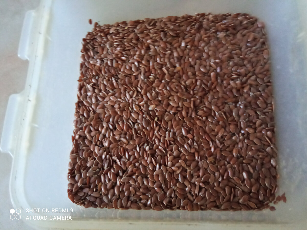 Как правильно приготовить семена льна с кефиром