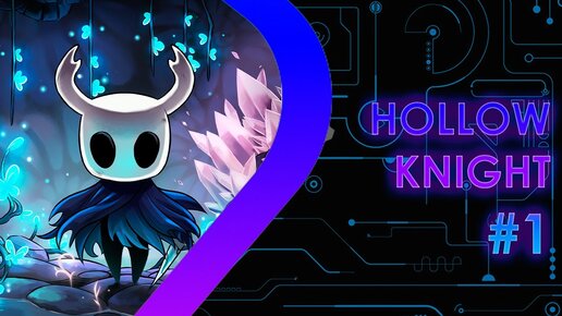 Hollow knight #1