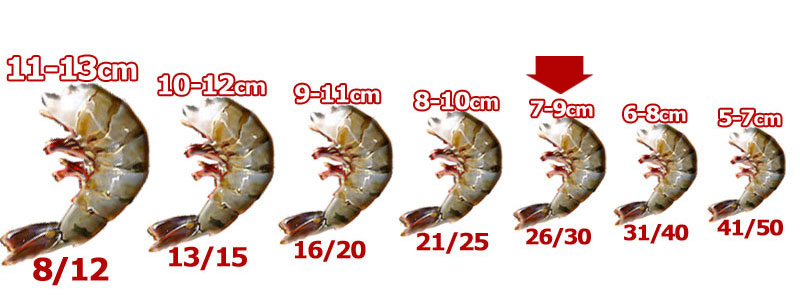 Калибровка креветок