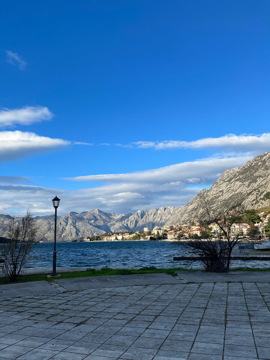 Kotor