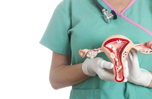 взято из общего доступа