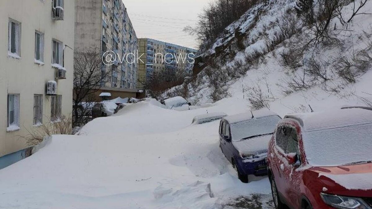 Снежная погода завалила Приморский край сугробами выше человеческого роста  | Восток-Медиа | Дзен