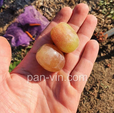 Ягода Аниты.