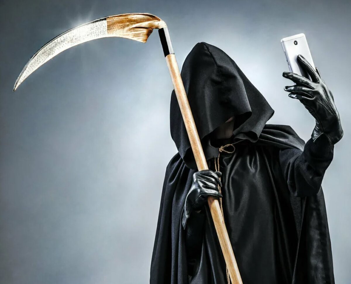 из яндекс-картинок