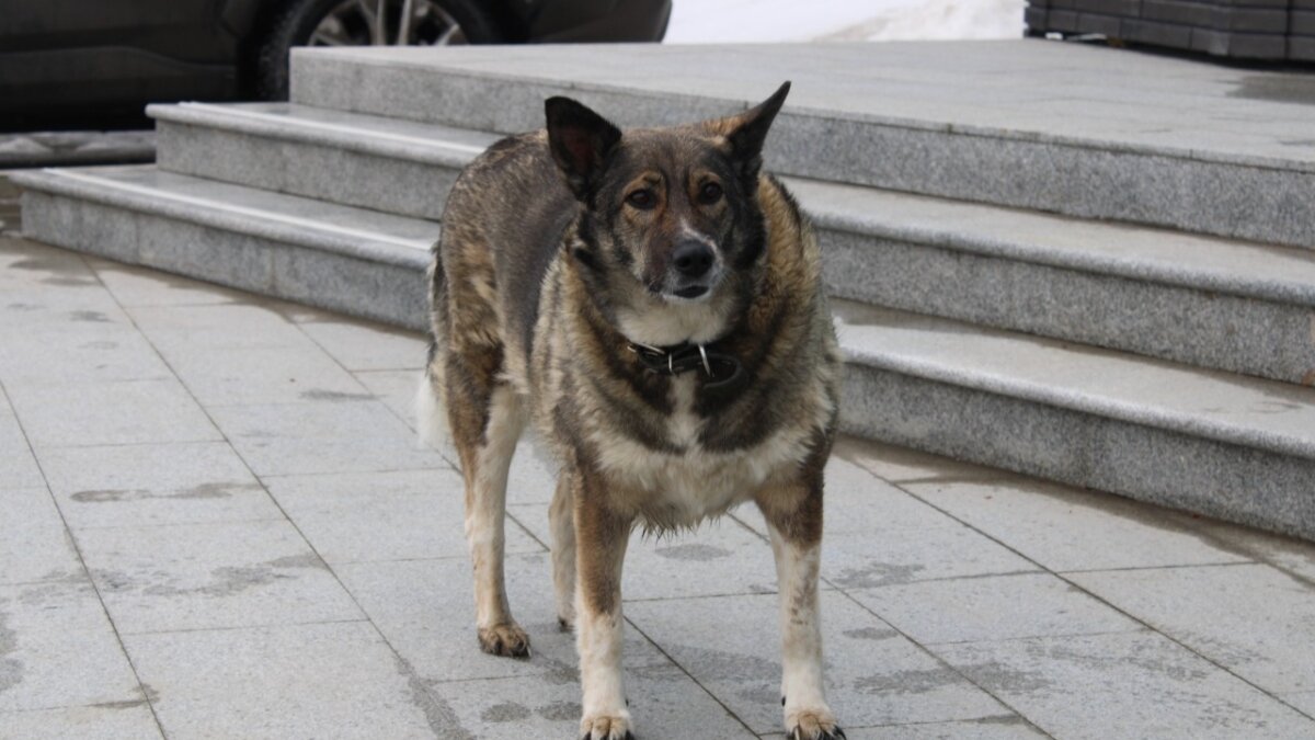 ИА SM News Екатеринбург📷
