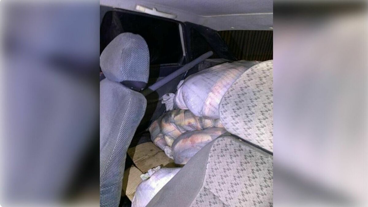     В Ростовской области у фотографа-натуралиста в багажнике обнаружили шесть мешков незадекларированного пиленгаса, об этом сообщили в пресс-службе пограничного управления ФСБ РФ по Ростовской области.