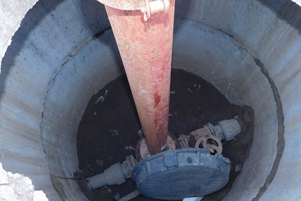     58-летний ветврач не сразу признался врачу, что получил производственную травму. Фото: УГКСЭ по Могилевской области