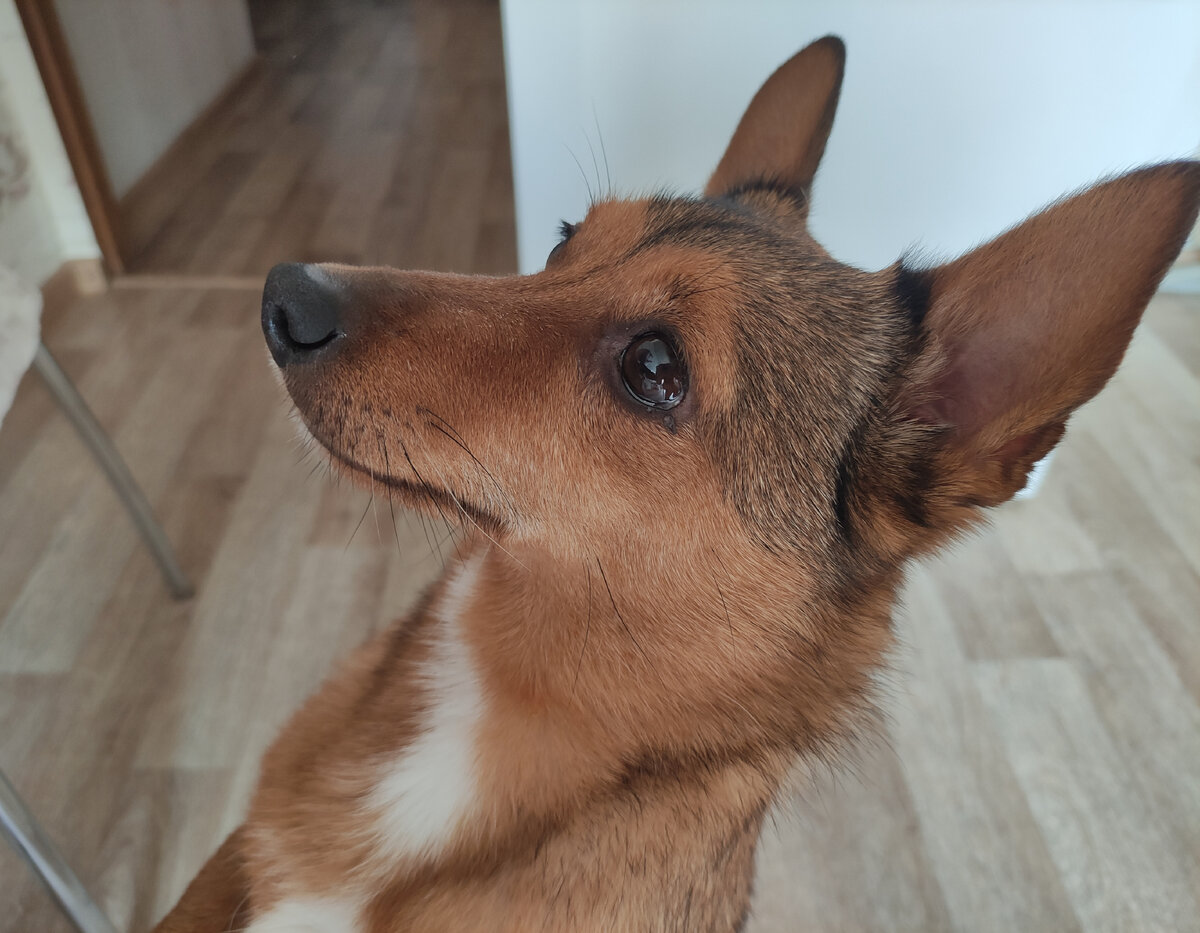 Фото из семейного архива