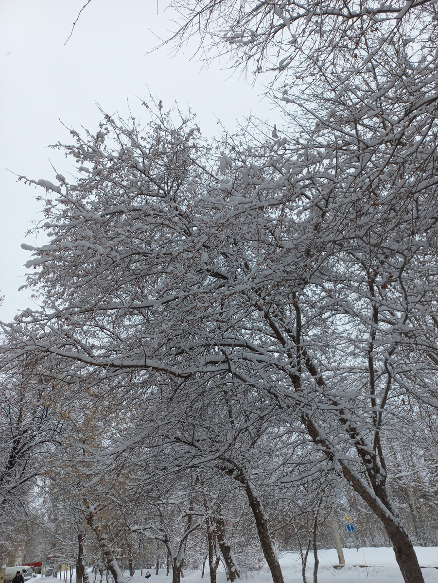 обожаю такую погоду, но когда скользко очень не люблю...