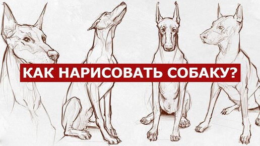 2 способа нарисовать собаку простым карандашом