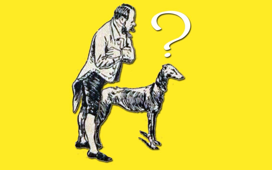 Все иллюстрации к статье созданы автором, источники изображений — архивы библиотек РГБ, РНБ, РГДБ