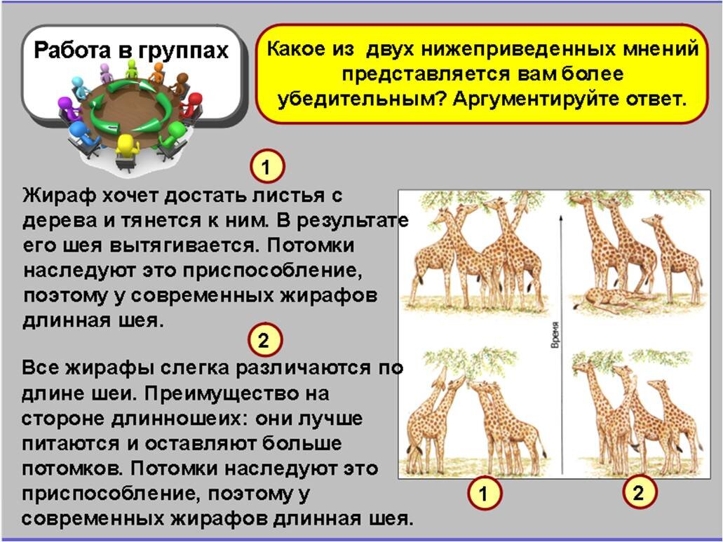 Эволюционное учение Ж. Б. Ламарка