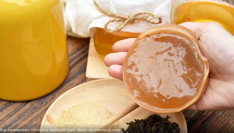 Источник: https://www.kp.ru/family/eda/kak-pravilno-gotovit-chajnyj-grib/