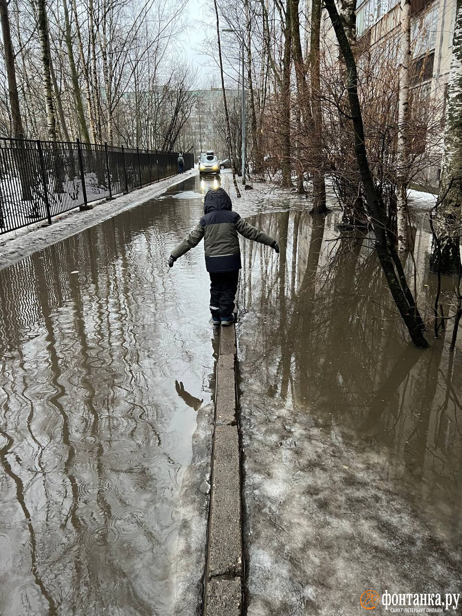 Петербург «поплыл» — вместо машин впору садиться в надувные лодки и  расчехлять сапы. Читайте на 