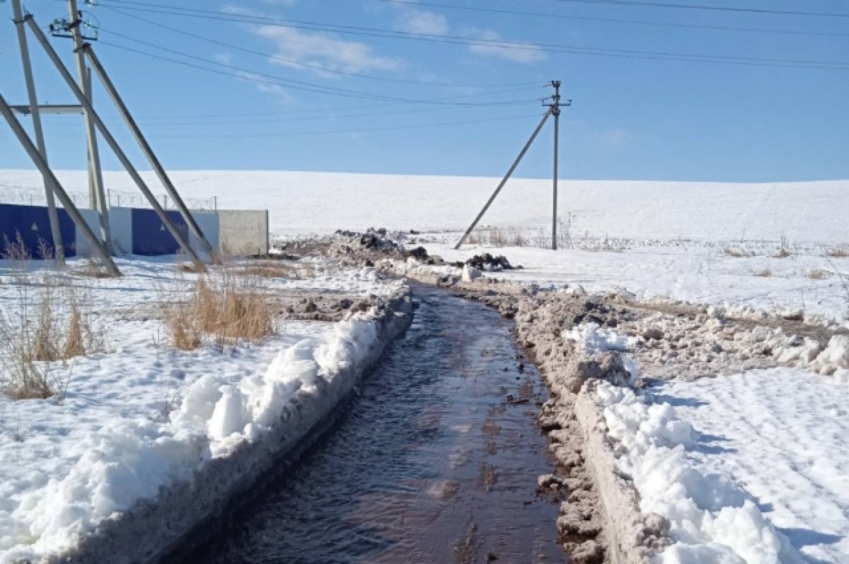    Как энергетики Самарской области встретили «большую воду»
