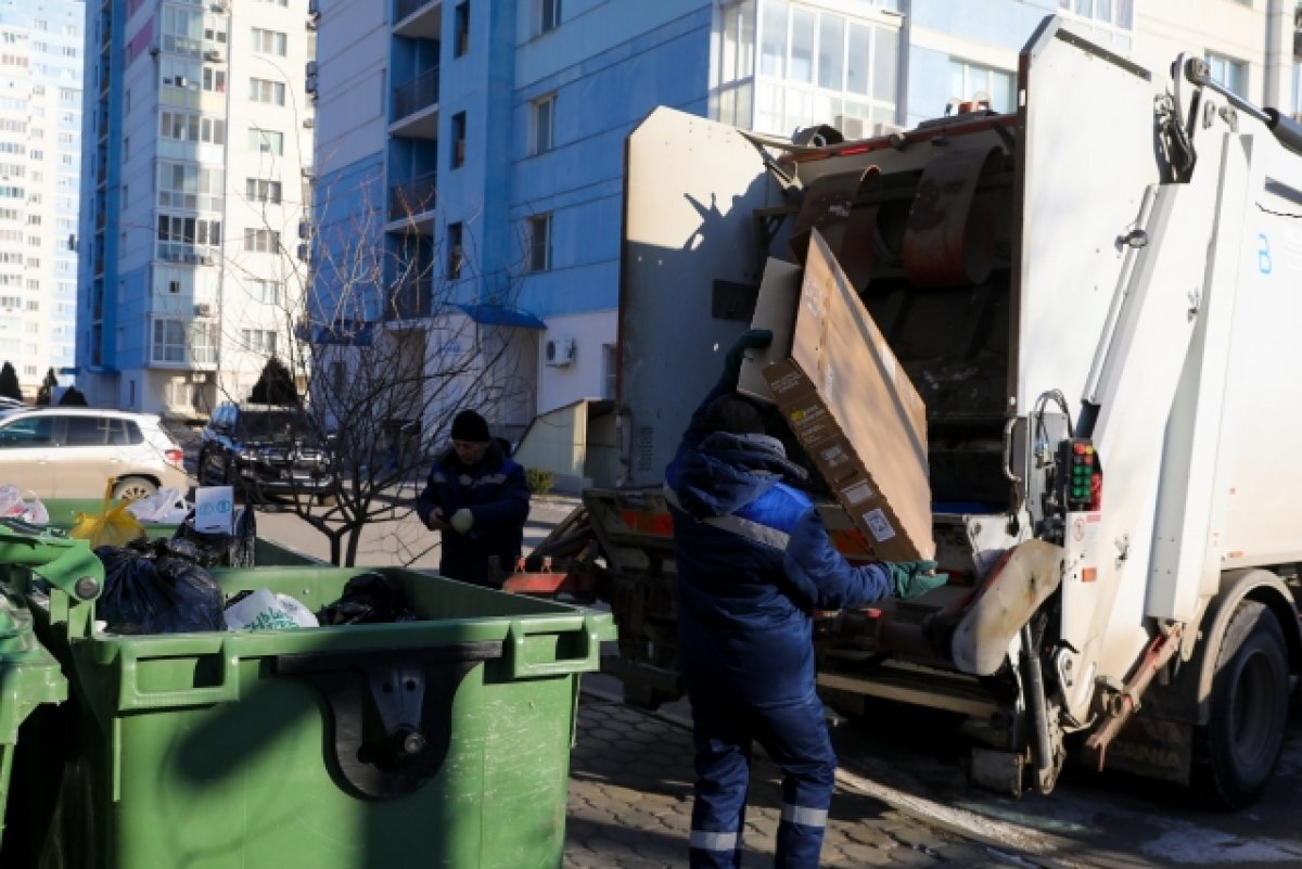    «Ситиматик-Волгоград» напоминает: ветки – не ТКО