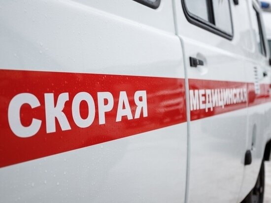     Фото: архив МК в Пскове
