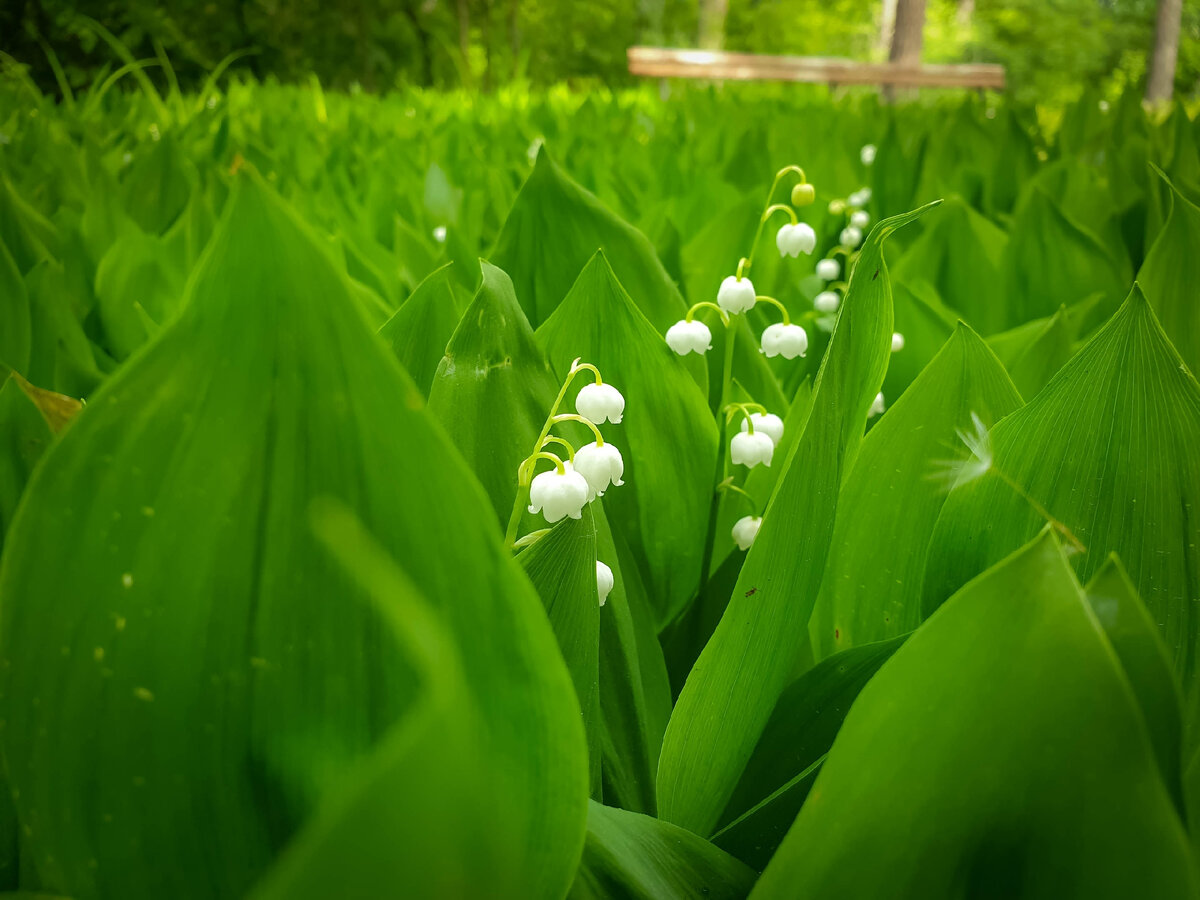 Если оформить вычет уже сейчас, деньгиможно получить в течение недели.