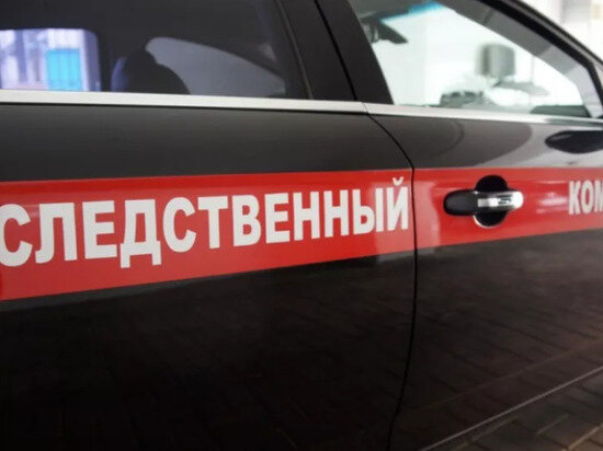     Фото: СУ СК РФ