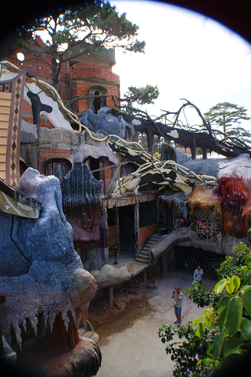 «Сумасшедший дом» во Вьетнаме