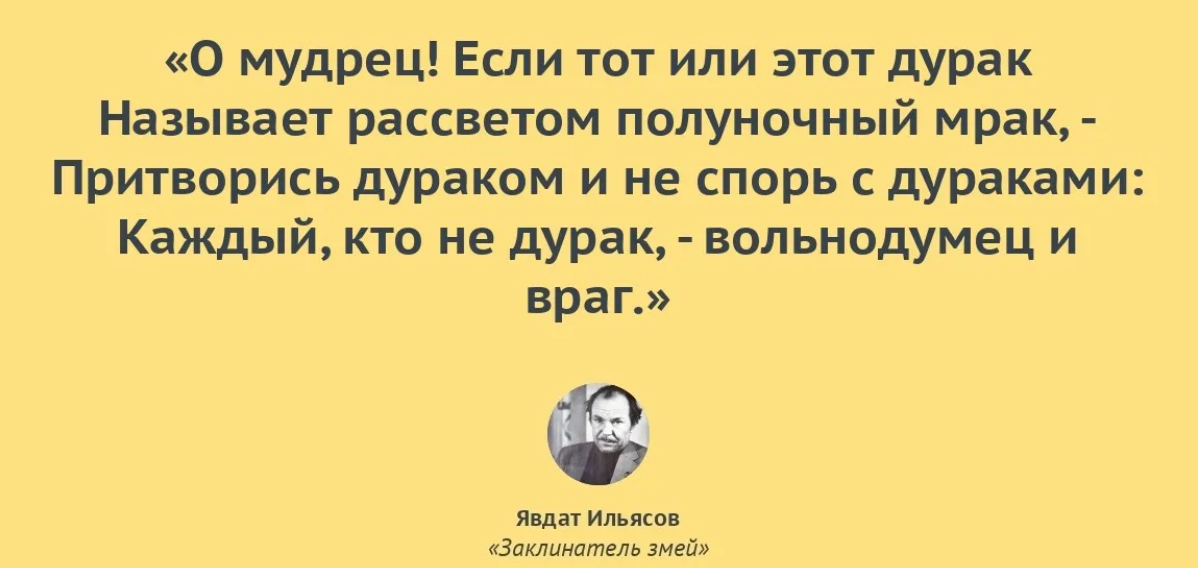 Заматереть это. Цитаты про споры с дураком. Мудрые о дураках. Мудрец и дурак. Картинка дурак прикидывается умным.