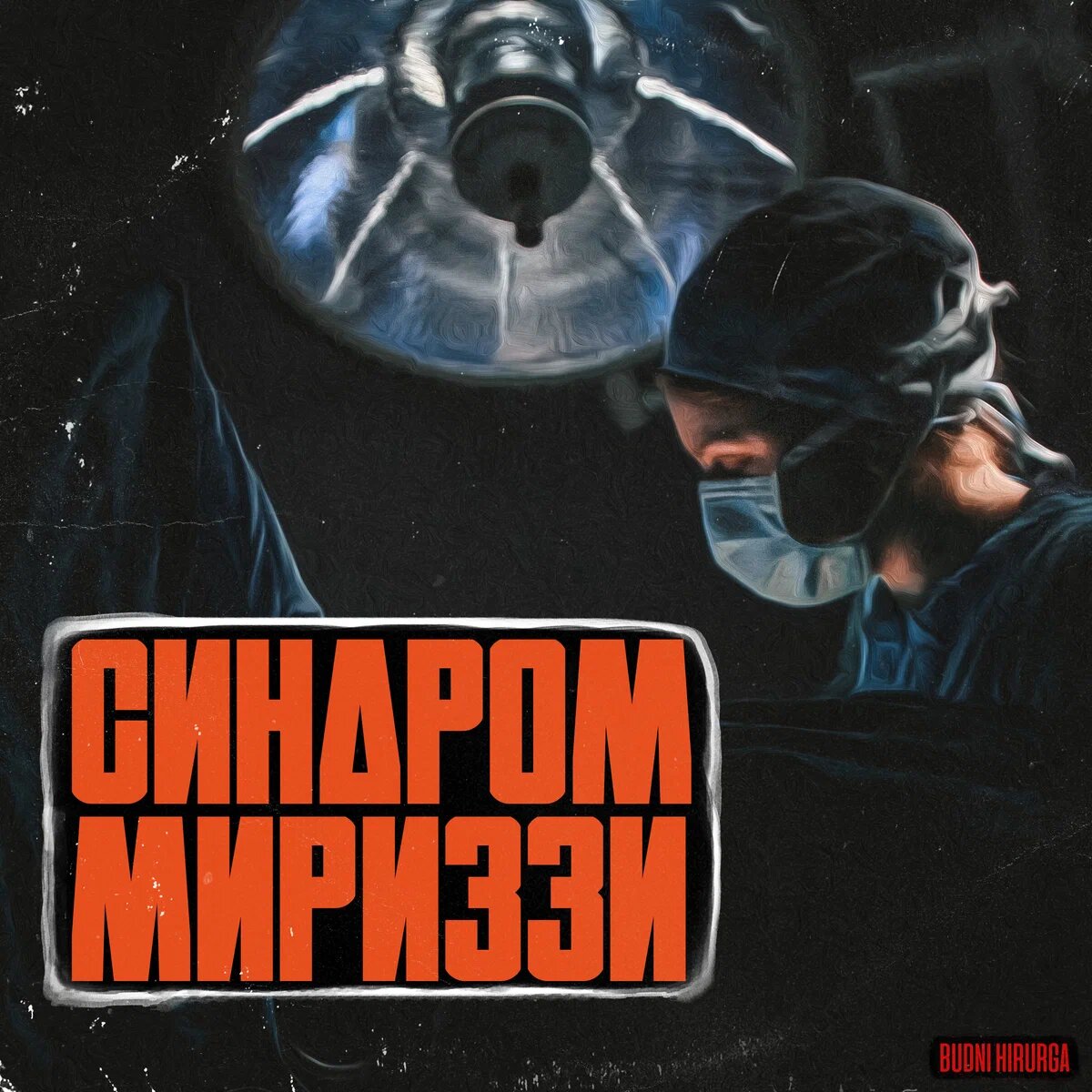 © DOMVRACHA / ДОМ ВРАЧА / BUDNIHIRURGA / EVILICIO