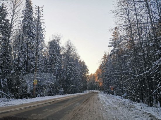     фото: МК в Туле