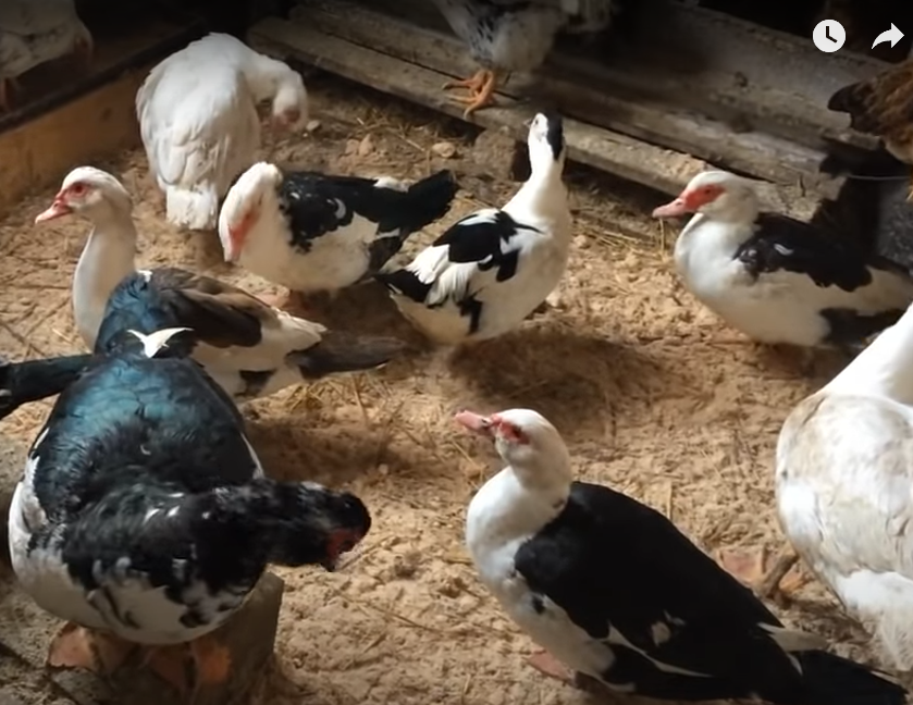 Сухость и чистота залог здоровья!