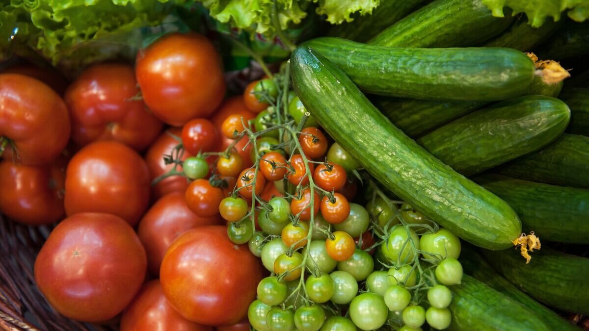    Сельскохозяйственная продукция© РИА Новости / Таисия Воронцова