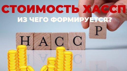 Стоимость разработки системы ХАССП