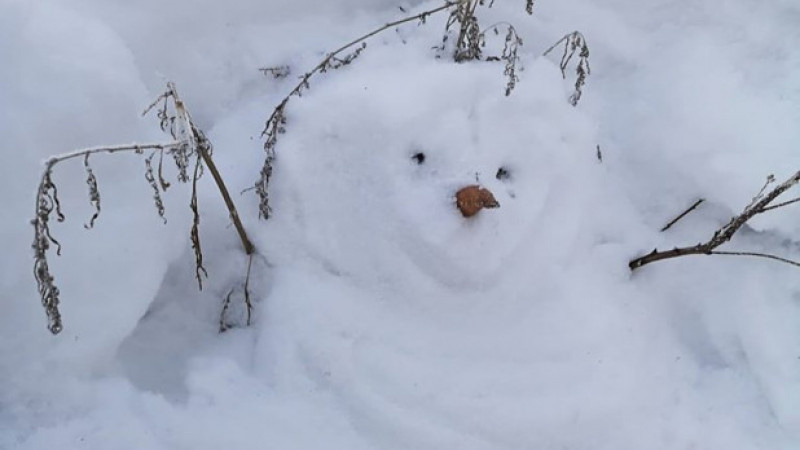     Снег в алтайском селе. Много снега. altapress.ru